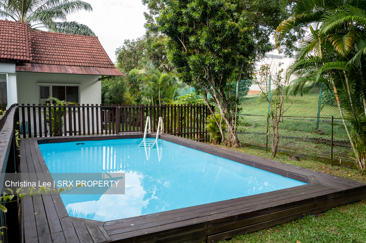 Raffles Park (D11), Detached #572624201